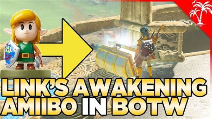 What does 8 bit Link amiibo do in Botw?