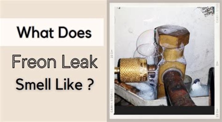 What does a Freon leak smell like?