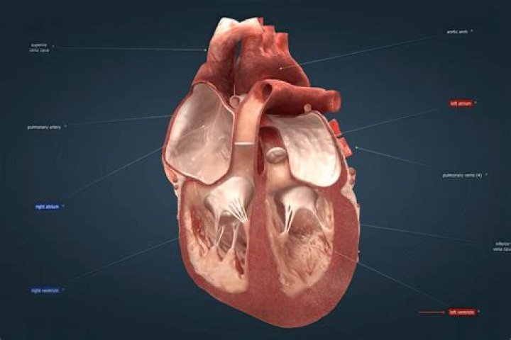 What does a heart with an eye in the middle mean?