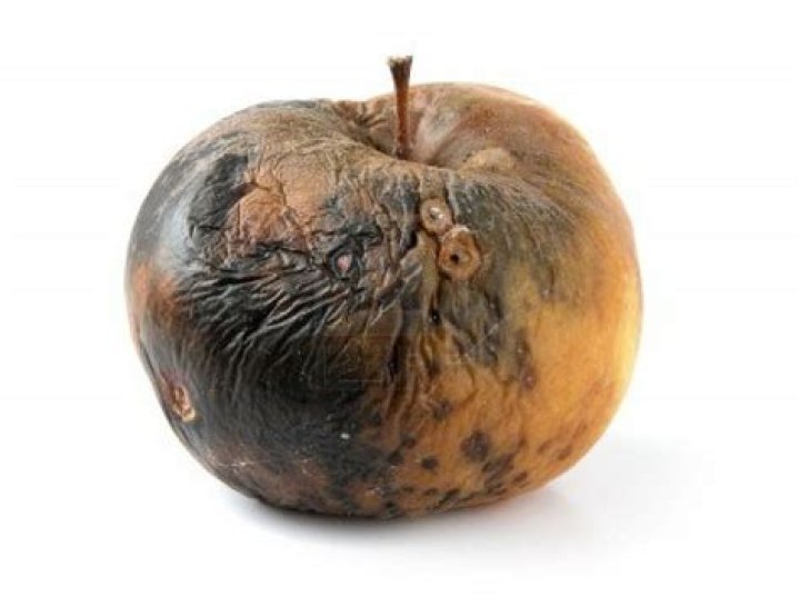 What does a rotten apple look like?