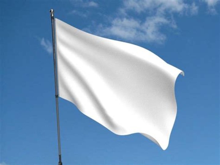 What does a white flag on a car mean?
