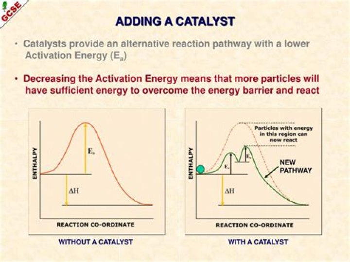 What does adding a catalyst do?