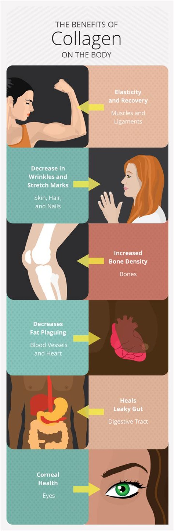 What does collagen do for a woman's body?