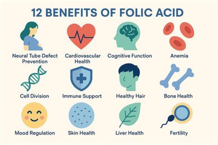 What does folic acid do for hormones?