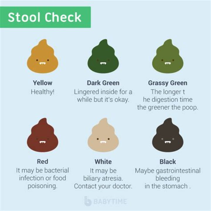 What does Gray poop mean?