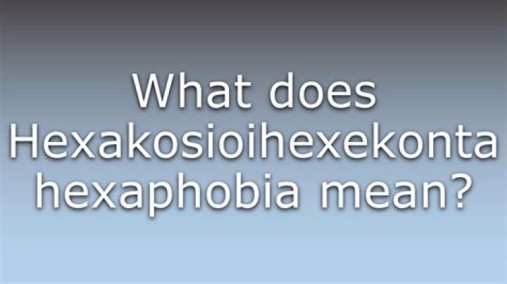 What does Hexakosioihexekontahexaphobia mean?