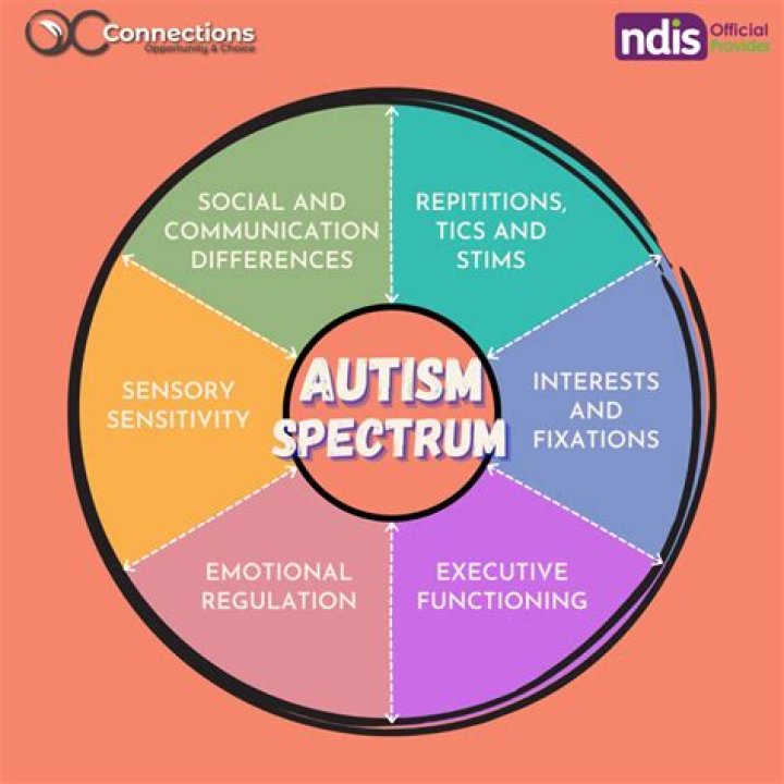 What does it mean for a child to be on the spectrum?