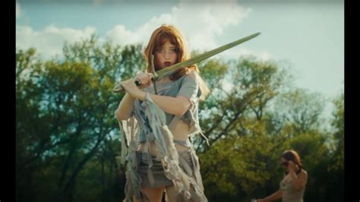 What does it mean to throw yourself on the sword?