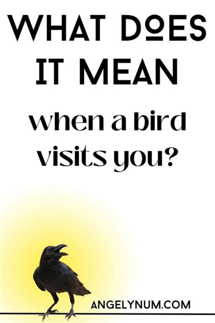 What does it mean when a bird lifts its leg?