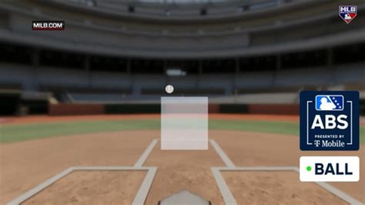 What does MLB mean in sports?