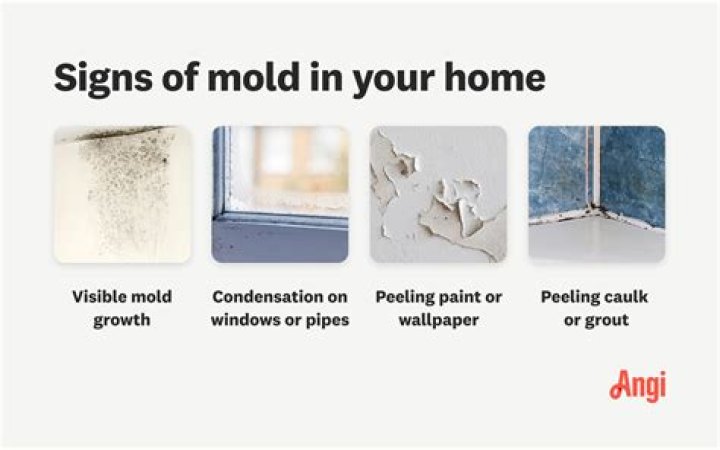 What does mold in your house make you feel like?