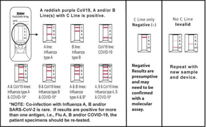 What does my negative COVID-19 test result mean?