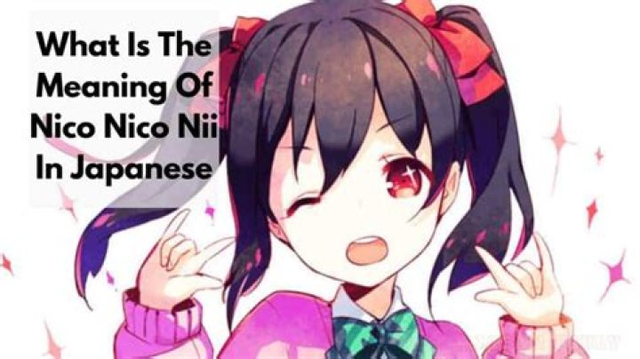 What does Nico Nico NII mean?