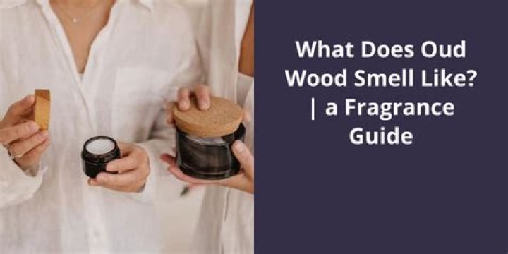 What does oud Mood smell like?