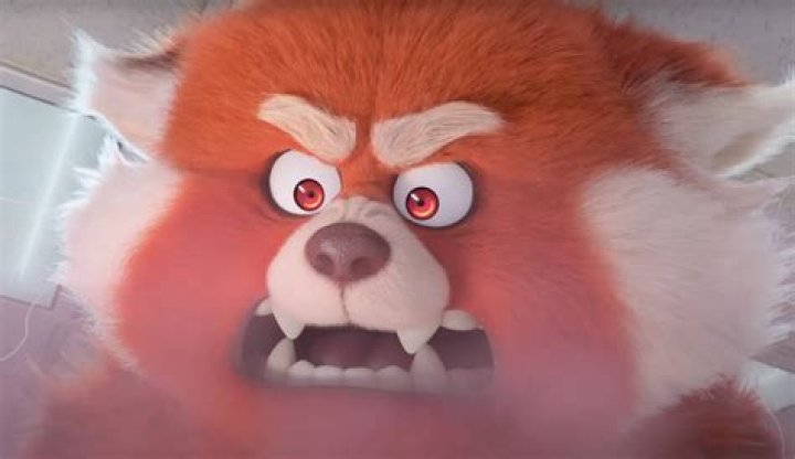 What does panda mean in Turning Red?