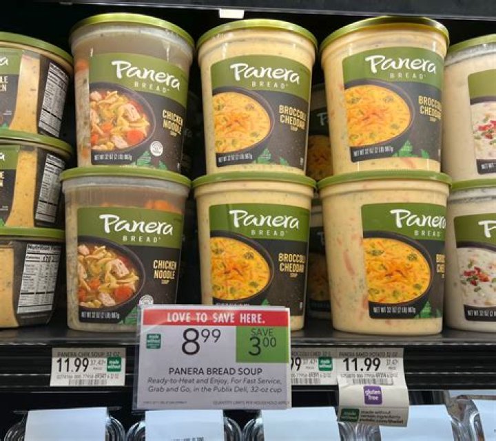 What does Panera mean in Italian?