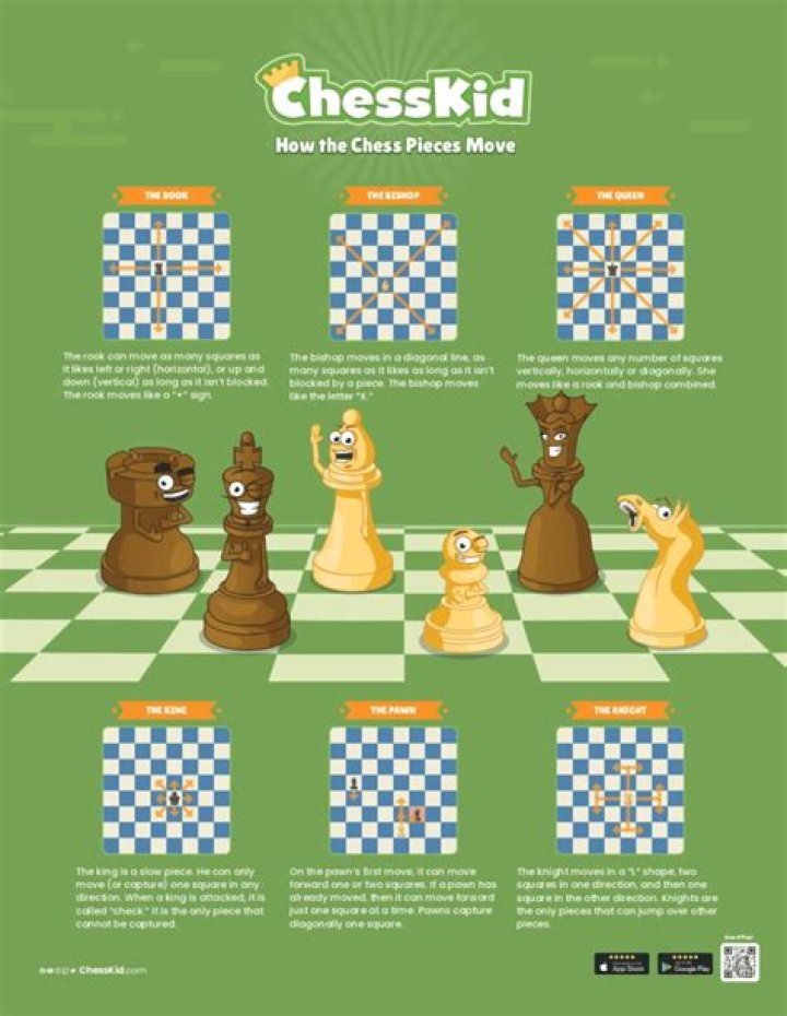 What does playing chess teach you?