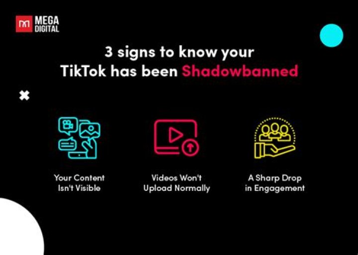 What does shadowbanned on TikTok mean?