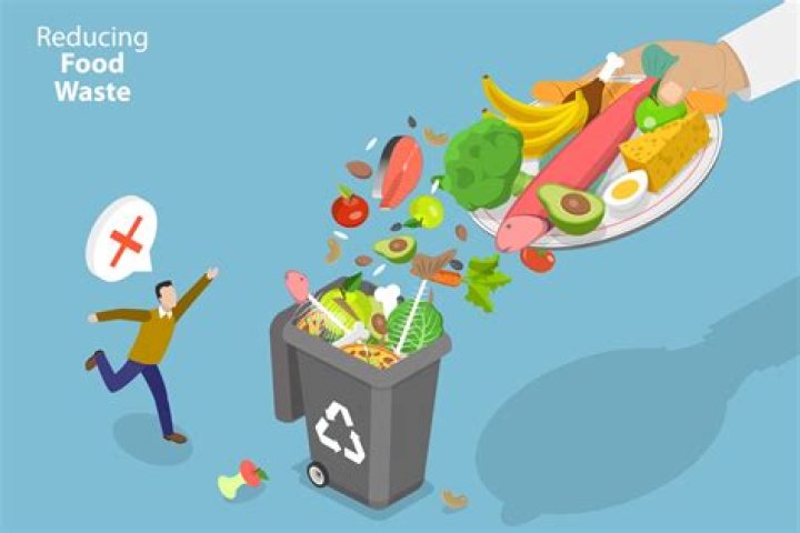 What does Sweden do with its organic waste?