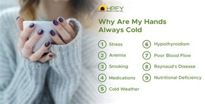 What does the line my hands are cold mean?