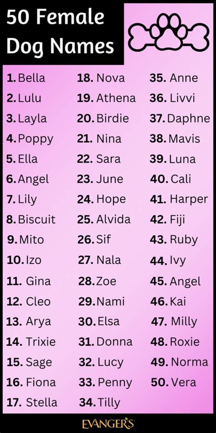 What dog name means miracle?