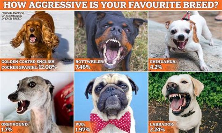 What dogs are least friendly?