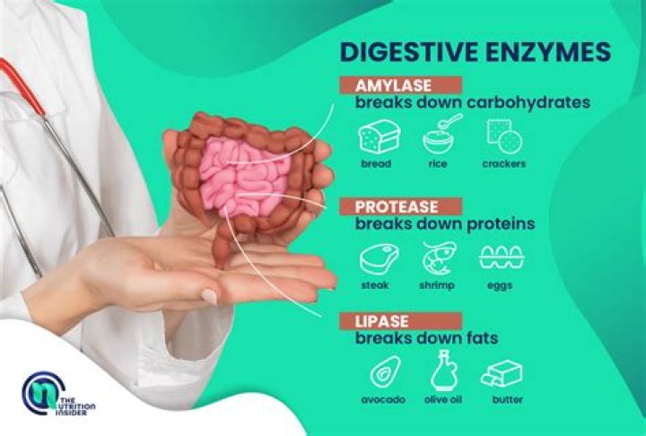 What enzyme breaks dog poop?