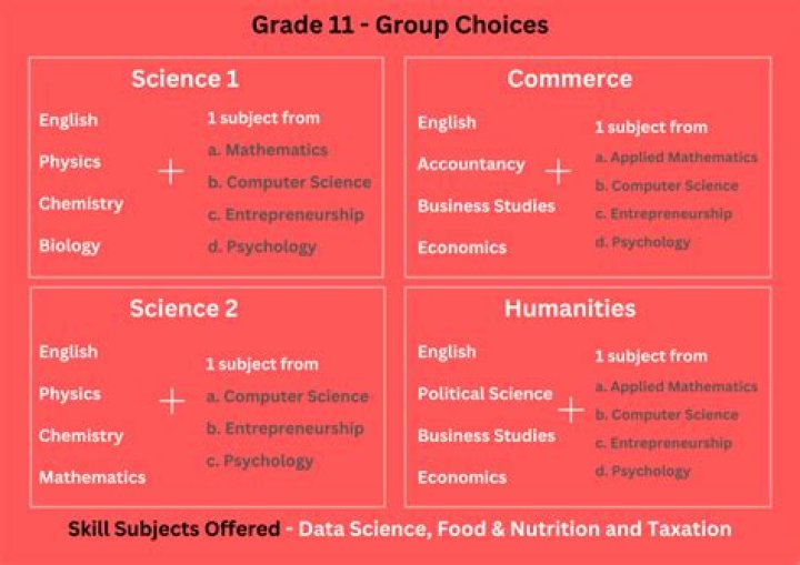 What group should I take in 11th for data scientist?