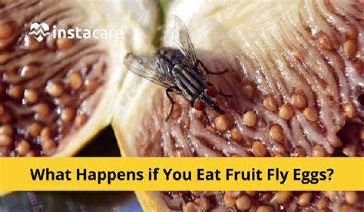 What happens if a pilot flies drunk?