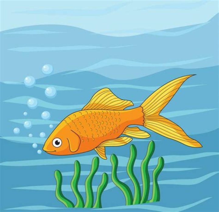 What happens if fish swim in beer?