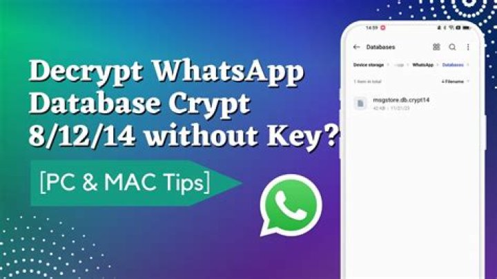What happens if we delete WhatsApp database?