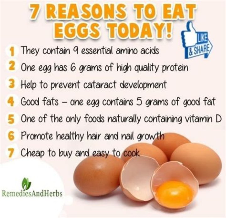 What happens if you eat eggs every day?