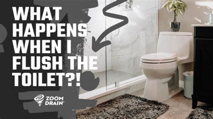 What happens if you flush a fish alive?