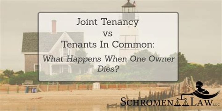 What happens when a joint property owner dies?
