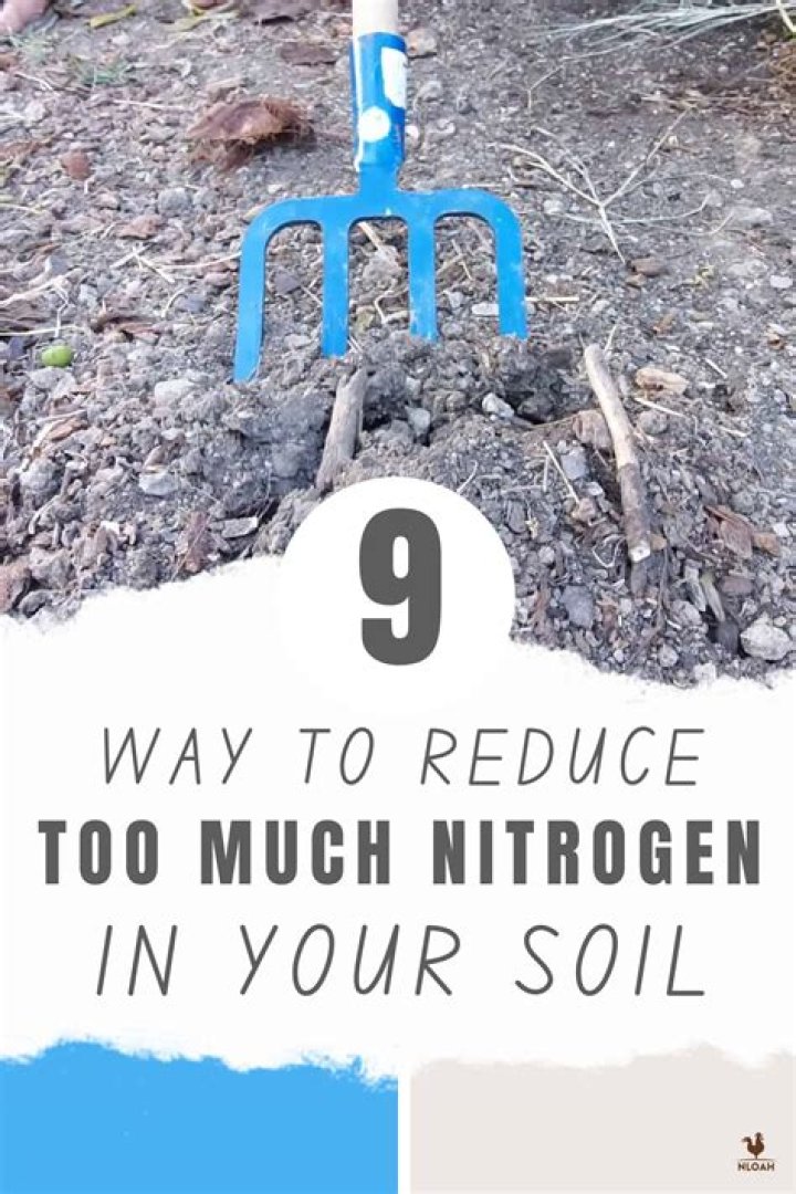 What happens when you breathe in too much nitrogen?