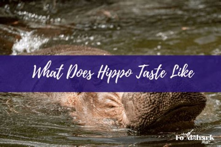 What hippo taste like?