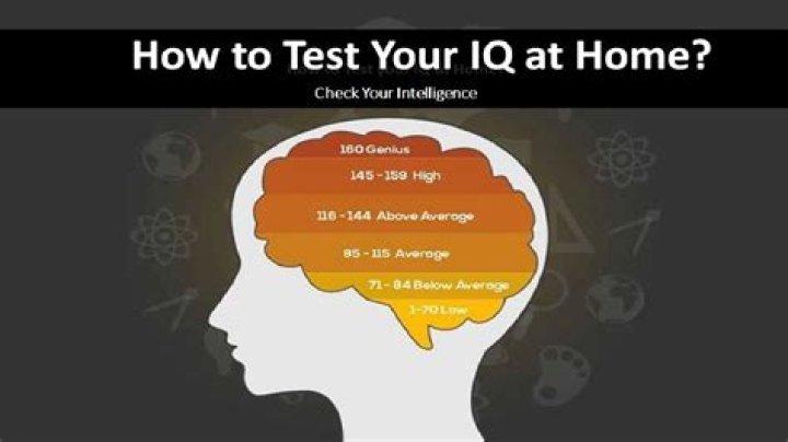 What IQ do you need to get a degree?