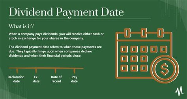What is a dividend ECON quizlet?