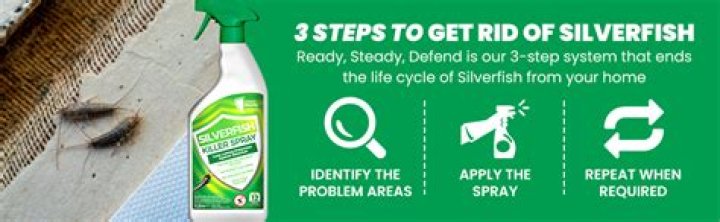 What is a good spray for silverfish?