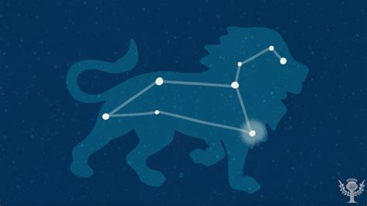 What is a Leo power?
