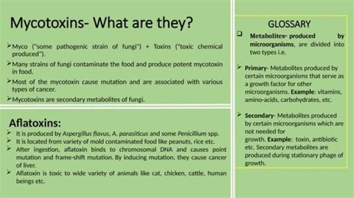 What is a mycotoxin test?