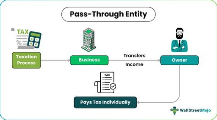 What is a pass through tax entity?