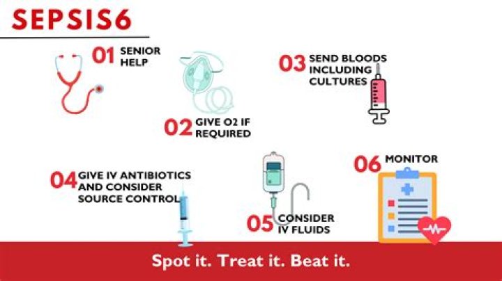 What is a sepsis survivor?