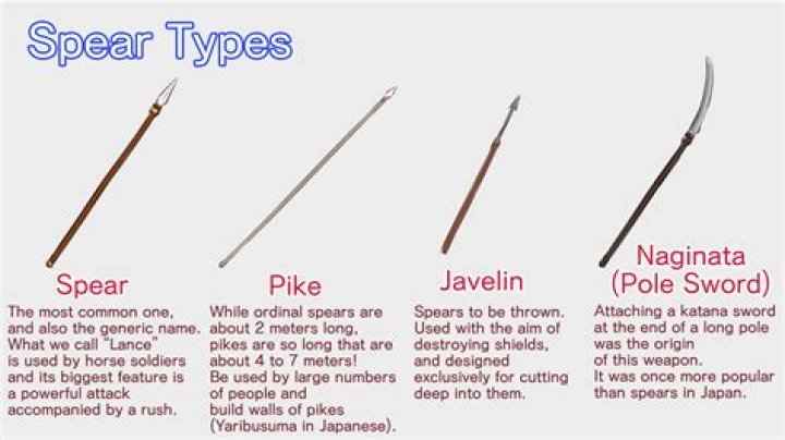What is a Spartan spear called?