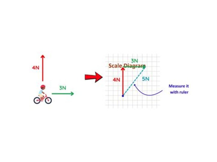 What is a vector diagram?