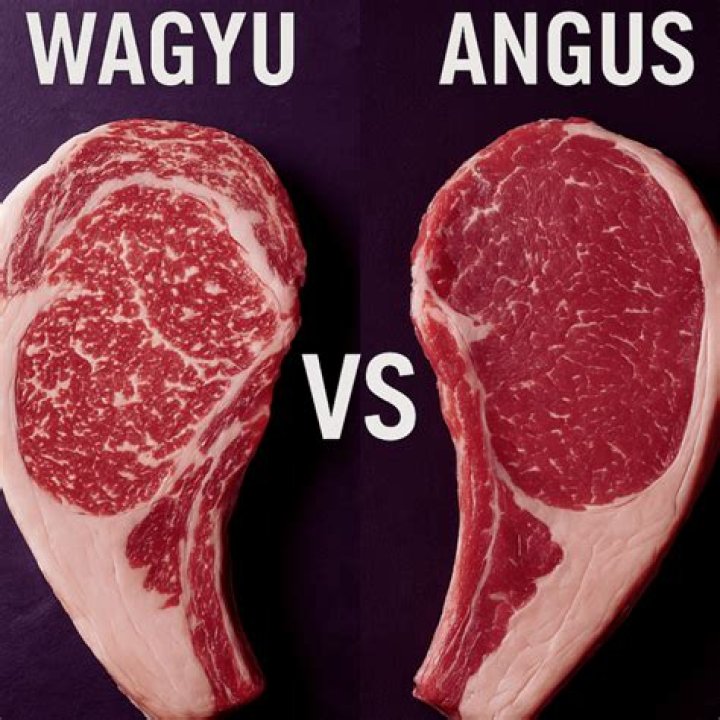 What is a Wagyu bull?