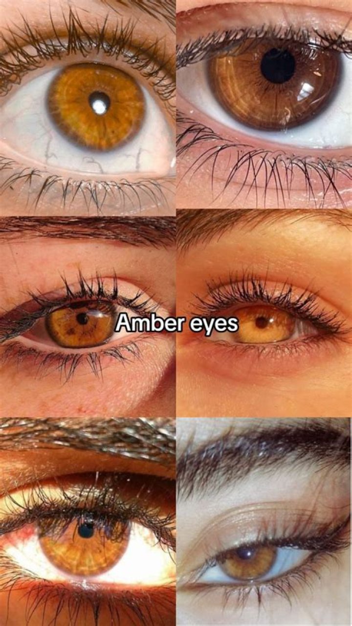 What is amber time?