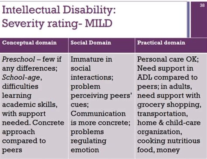 What is an example of a mild disability?