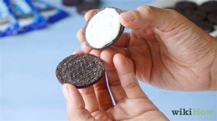 What is an Oreo dog?