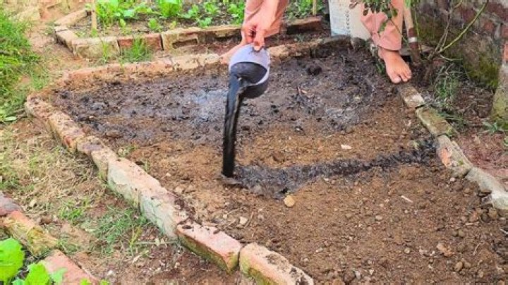 What is black dirt good for?